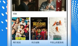 在线视频app,揭秘热门在线视频APP的魅力与功能